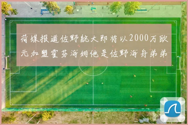 荷媒报道佐野航大即将以2000万欧元加盟霍芬海姆他是佐野海舟弟弟