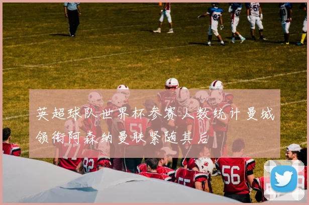 英超球队世界杯参赛人数统计曼城领衔阿森纳曼联紧随其后