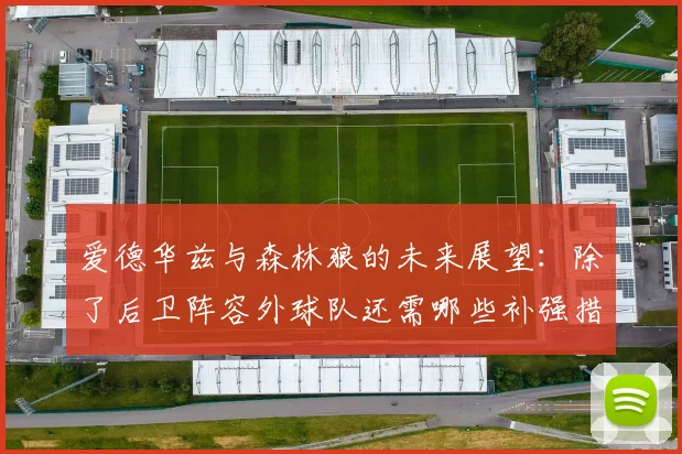 爱德华兹与森林狼的未来展望：除了后卫阵容外球队还需哪些补强措施